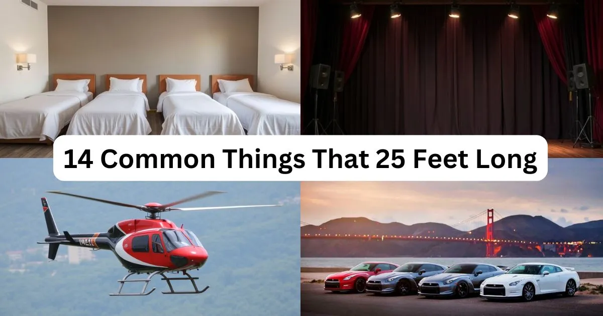 How Long Is 25 Feet? 14 Common Things That 25 Feet Long