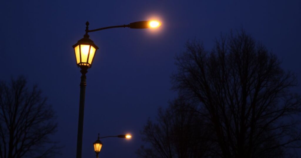 How Long Is 40 Feet? 15 Things That Are 40 ft Long Long Streetlight Arm