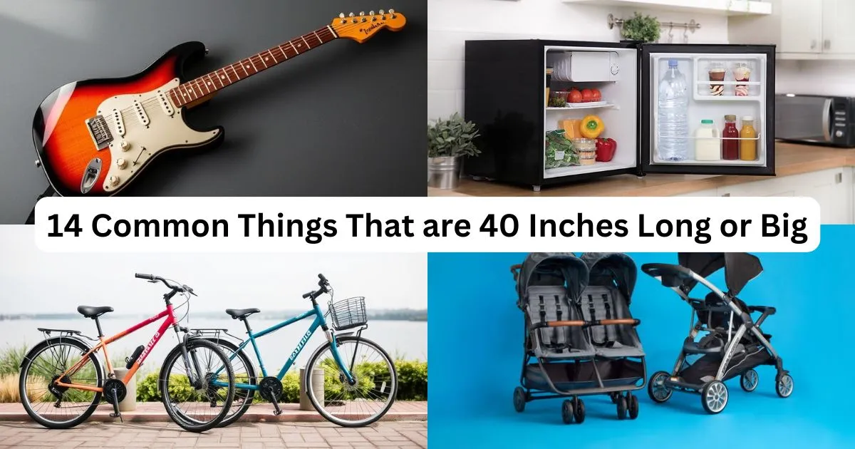 How Tall is 40 Inches? 14 Common Things That are 40 Inches Long or Big