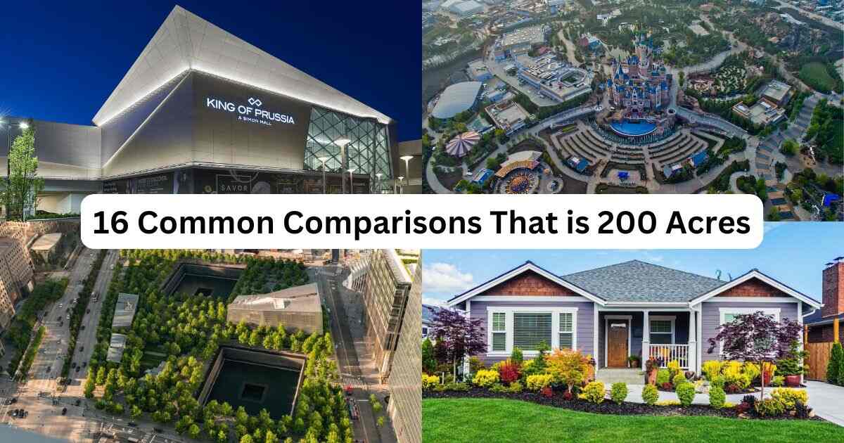 How Big is 200 Acres? 16 Common Comparisons That is 200 Acres