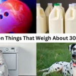 How Heavy is 30kg? 16 Common Things That Weigh About 30 Kilograms (Kg)