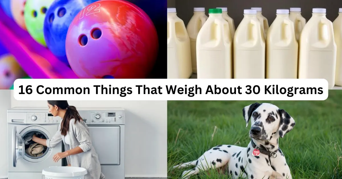 How Heavy is 30kg? 16 Common Things That Weigh About 30 Kilograms (Kg)