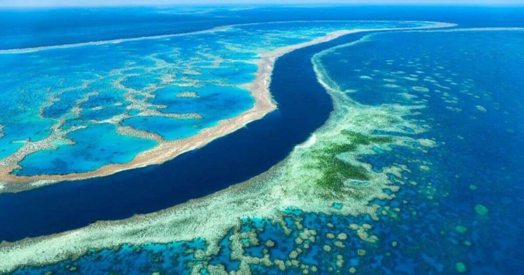 How Long is 100 Kilometers? 15 Common Comparisons The Great Barrier Reef Segment