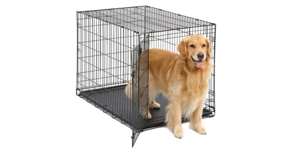 How Many Feet Is 60 Inches? 14 Common Things That Are About 60 Inches Dog Crate Dimensions