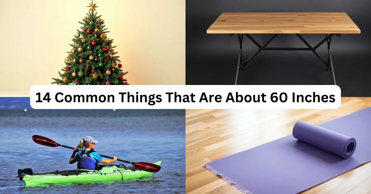 How Many Feet Is 60 Inches? 14 Common Things That Are About 60 Inches