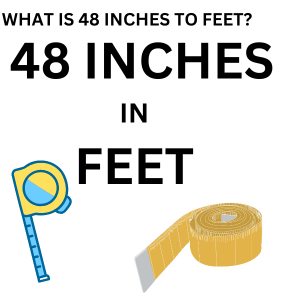 48 Inches into Feet