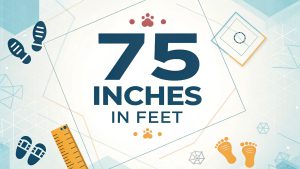 75 Inches in Feet