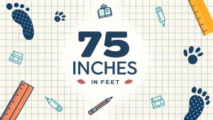 75 Inches in Feet