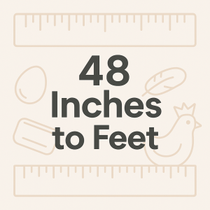48 Inches to Feet