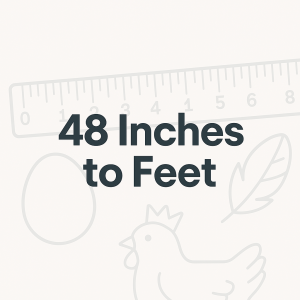 48 Inches to Feet